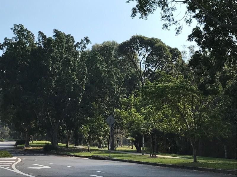 43 Gainsborough Avenue, Mackenzie QLD 4156