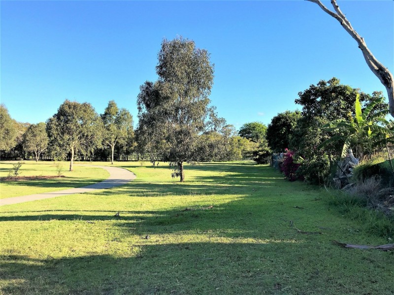 33 Thomas Street, Birkdale QLD 4159