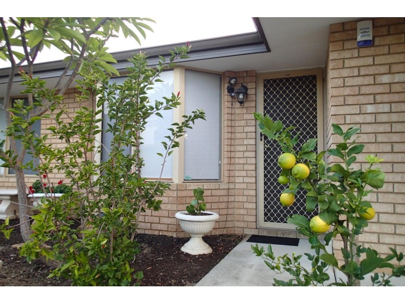 51 Cervantes Loop, Yangebup WA 6164