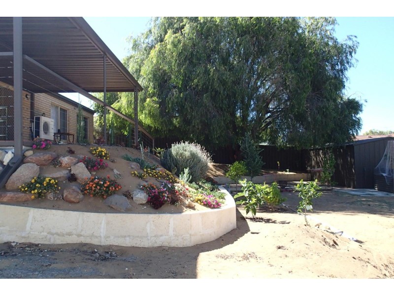 51 Cervantes Loop, Yangebup WA 6164