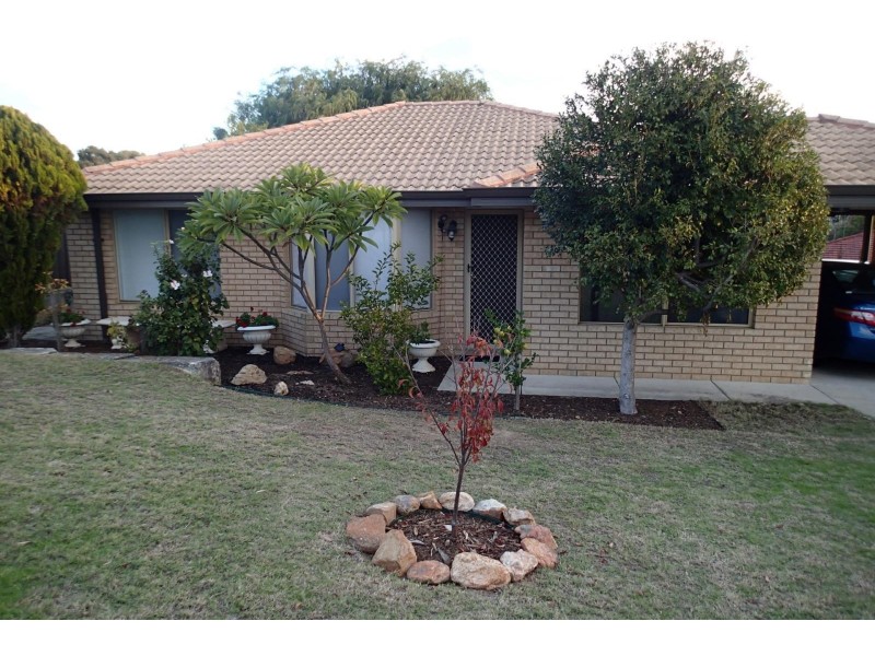 51 Cervantes Loop, Yangebup WA 6164