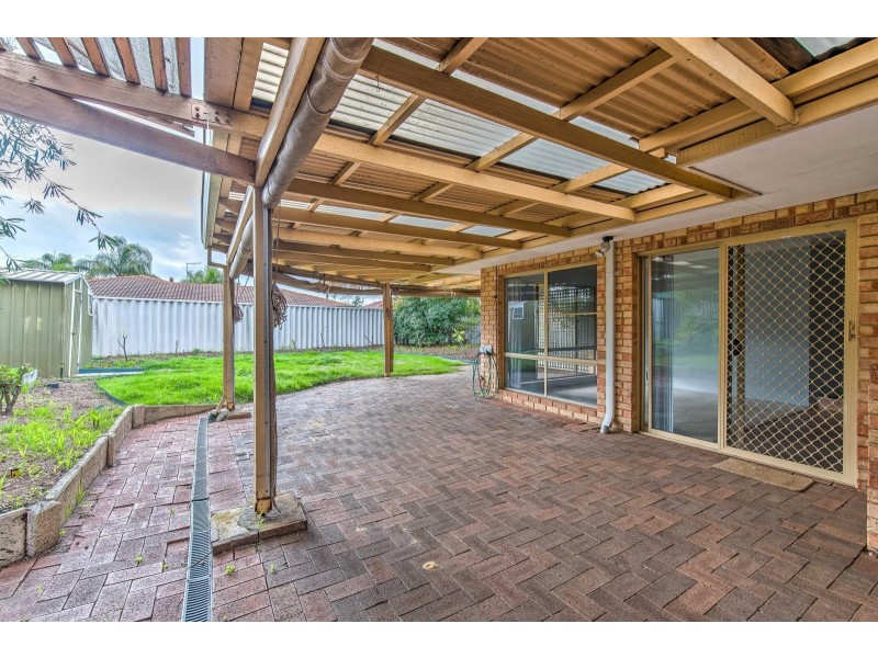 24 Azelia Street, Alexander Heights WA 6064