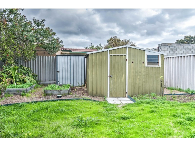 24 Azelia Street, Alexander Heights WA 6064