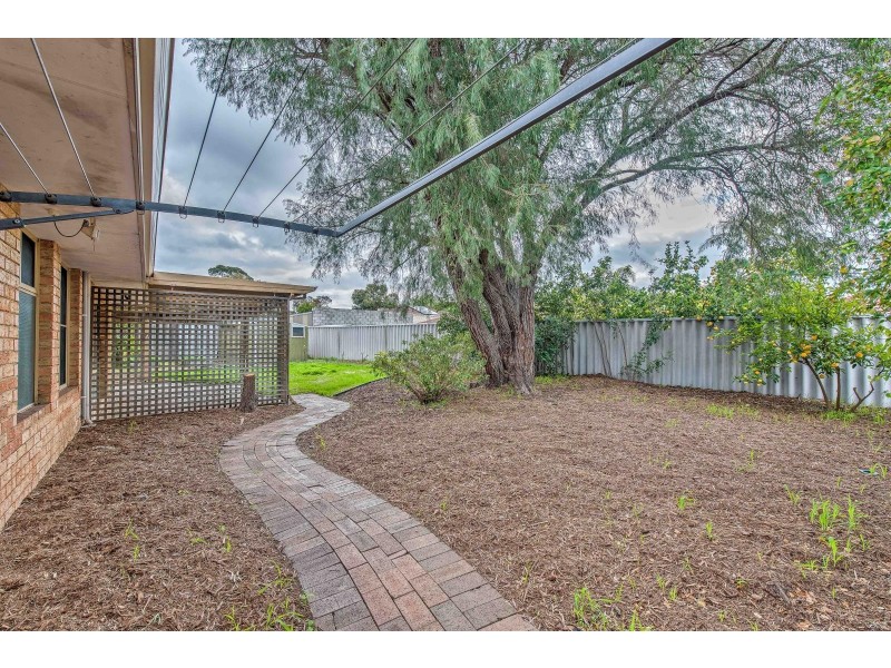 24 Azelia Street, Alexander Heights WA 6064