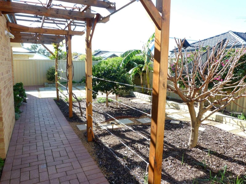 14 Harmony Way, Kewdale WA 6105