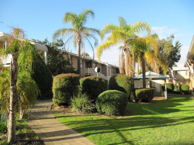 14/2 Pinewood Avenue, Kardinya WA 6163