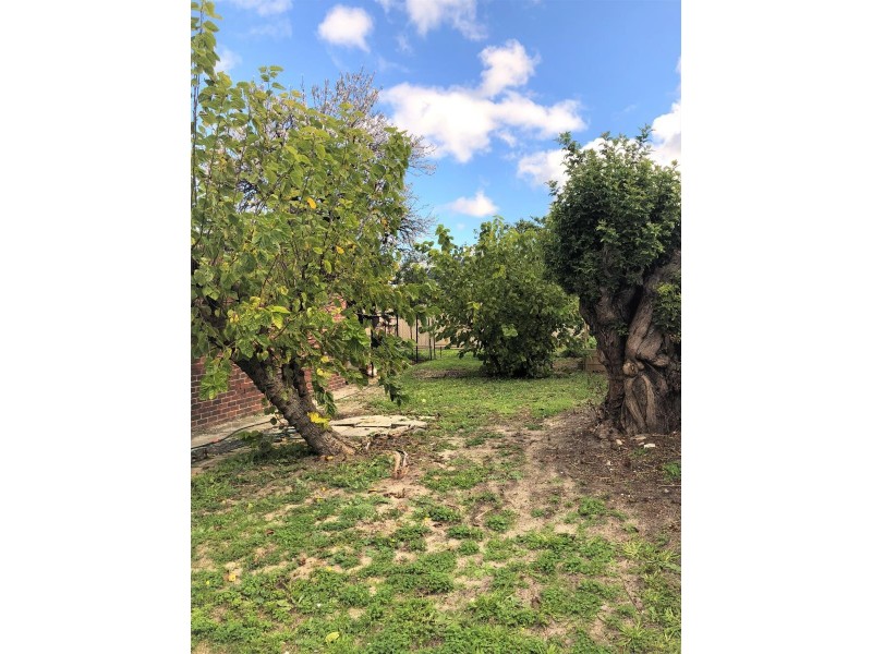 149 Shepperton Road, Victoria Park WA 6100