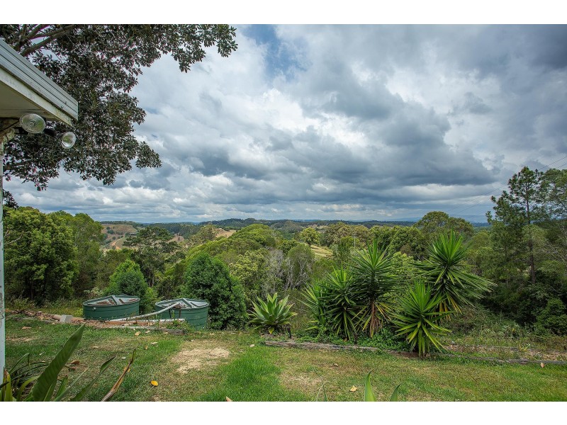 Black Mountain QLD 4563