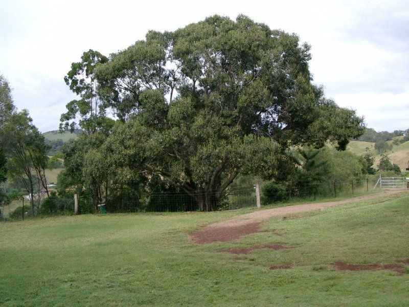 152 Scrubby Creek Road, Gympie QLD 4570