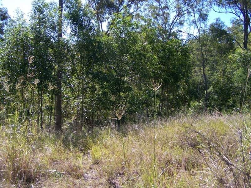 Lot 54 Dan Meurant Drive, Curra QLD 4570
