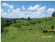 202 Amamoor Dagun Road, Amamoor QLD 4570