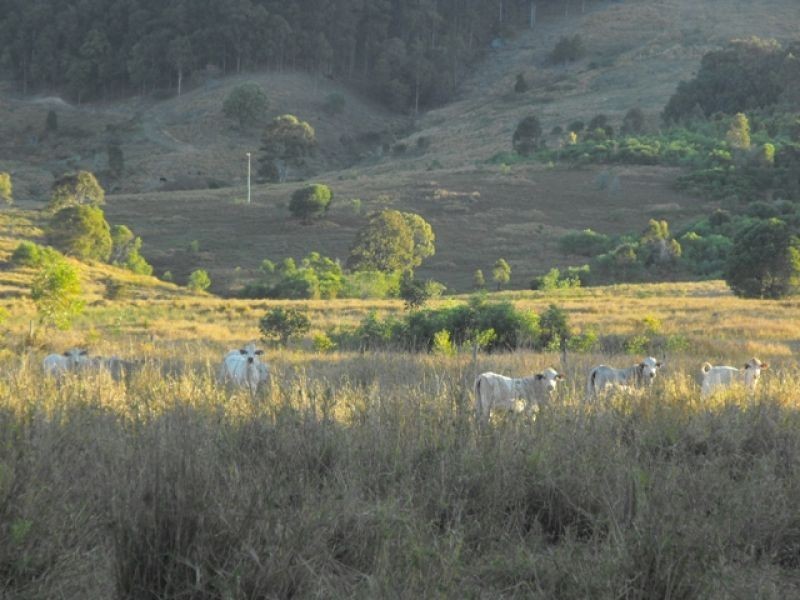 Lot Lot, 1 Kin Kin Road, Wolvi QLD 4570