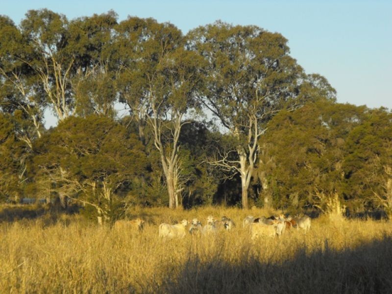 Lot Lot, 1 Kin Kin Road, Wolvi QLD 4570