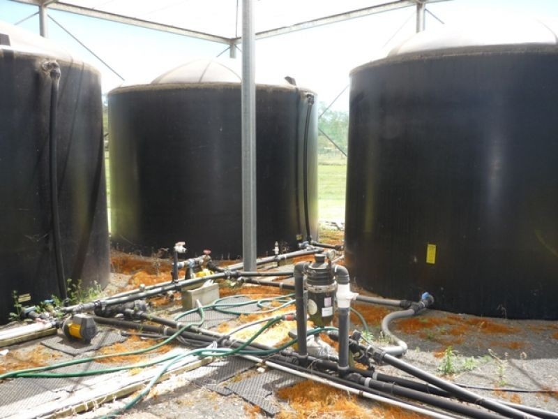 41 Samantha Drive, Pie Creek QLD 4570