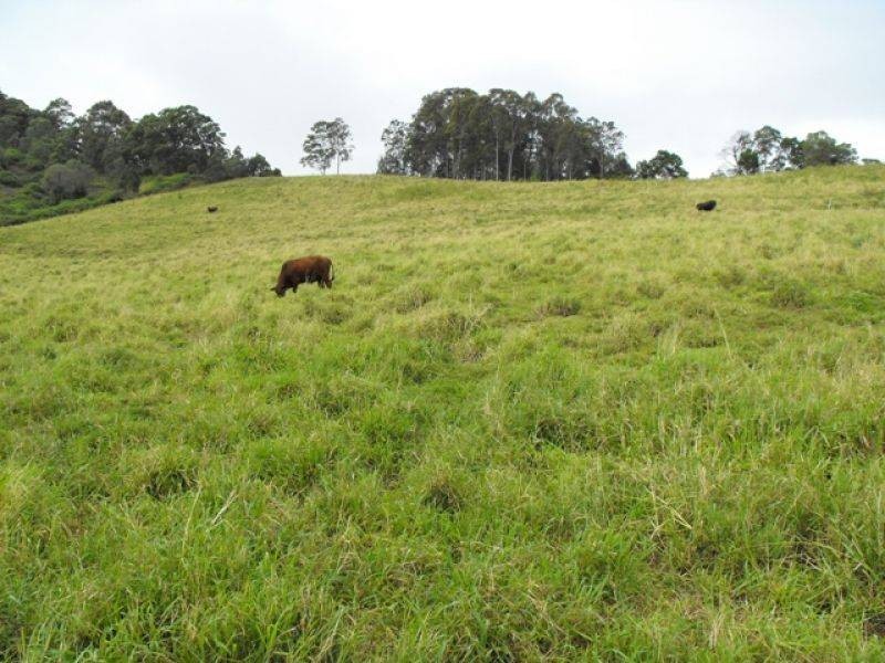 Lot 3 Wilsons Pocket Road, Wilsons Pocket QLD 4570