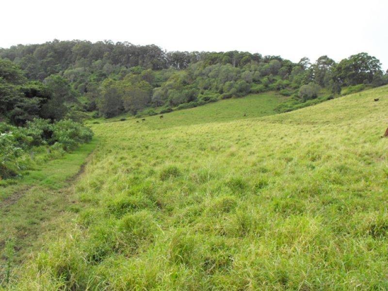 Lot 3 Wilsons Pocket Road, Wilsons Pocket QLD 4570