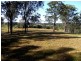 Lot 3, 10 Old Veteran Road, Veteran QLD 4570