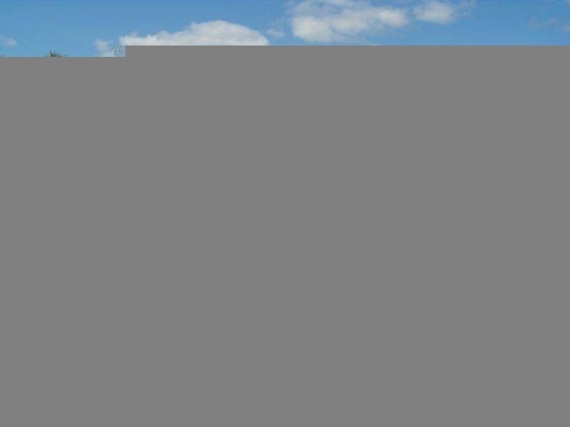 49 Wises Road, Gympie QLD 4570