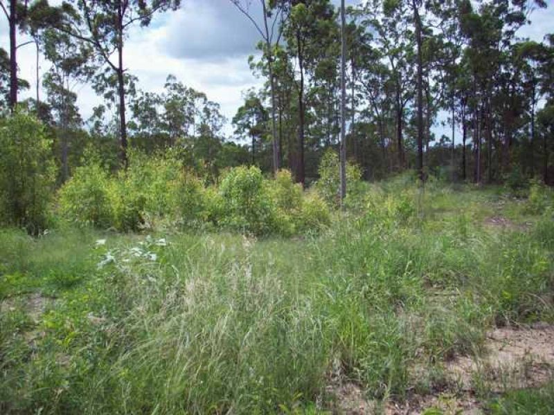 67 Lynne Drive, Curra QLD 4570