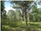 L1 Williams Road, East Deep Creek QLD 4570