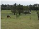 L11 Old Goomboorian Road, Veteran QLD 4570