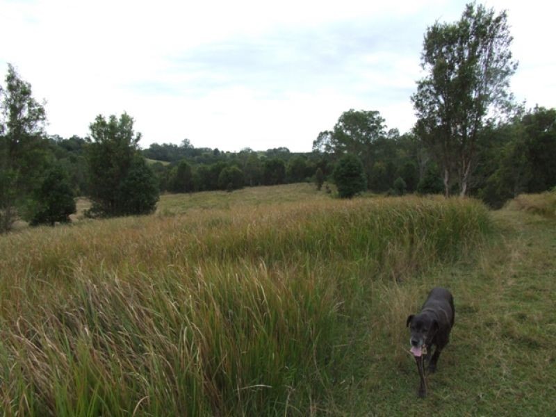 Lot 2, 500 Tin Can Bay Road, Canina QLD 4570