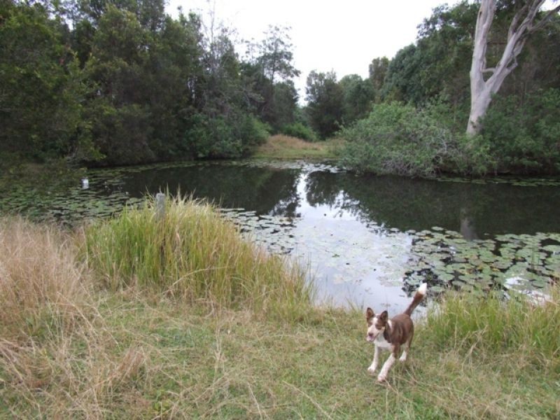 Lot 2, 500 Tin Can Bay Road, Canina QLD 4570