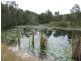 Lot 2, 500 Tin Can Bay Road, Canina QLD 4570