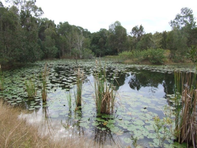 Lot 2, 500 Tin Can Bay Road, Canina QLD 4570
