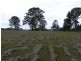 Lot 109, 0 Watergum Drive, Pie Creek QLD 4570