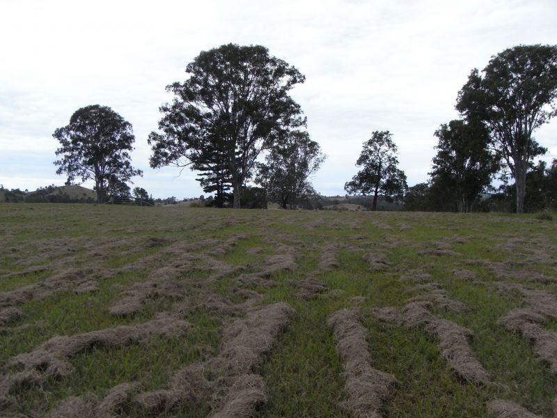 Lot 109, 0 Watergum Drive, Pie Creek QLD 4570