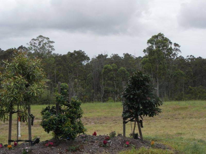 Lot 44, 0 Forest Ridge Drive, Tamaree QLD 4570