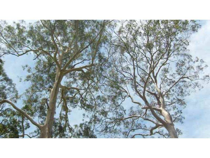 Lot 2, 49 North Deep Creek Road, North Deep Creek QLD 4570