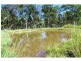 93 Blue Gum Road, Pie Creek QLD 4570