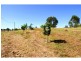93 Blue Gum Road, Pie Creek QLD 4570