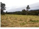 11 Kurrajong Drive, The Palms QLD 4570