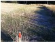 32 Wisteria Lane, Southside QLD 4570