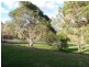 3 Daniel Drive, Pie Creek QLD 4570