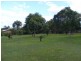 3 Daniel Drive, Pie Creek QLD 4570