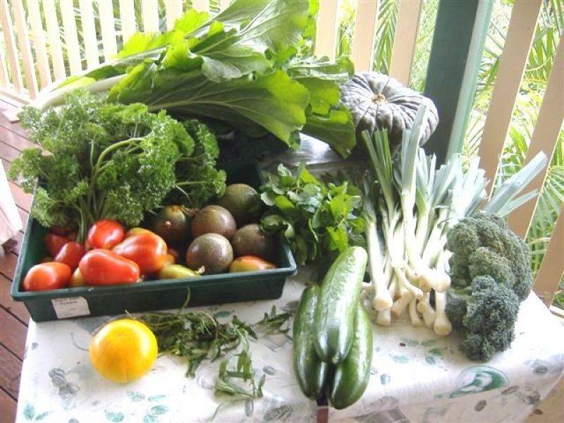 4 Farmborough Court, Southside QLD 4570