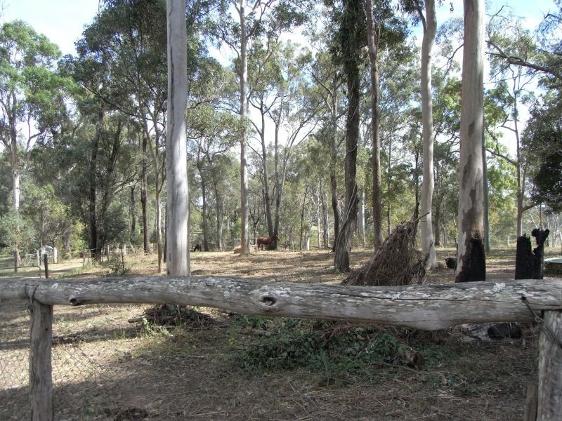 445 McIntosh Creek Road, Mcintosh Creek QLD 4570