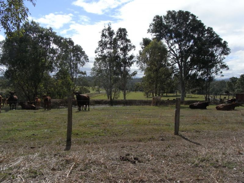 445 McIntosh Creek Road, Mcintosh Creek QLD 4570