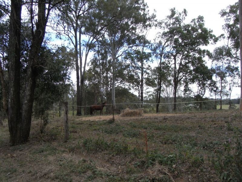 445 McIntosh Creek Road, Mcintosh Creek QLD 4570