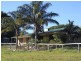 229 Meredith Road, Veteran QLD 4570
