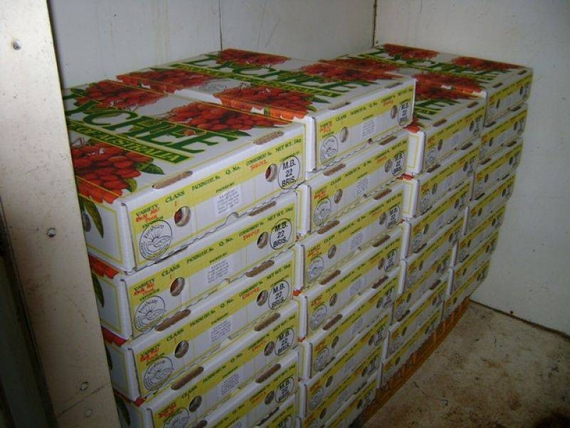 21 Yellow Gully Road, Wolvi QLD 4570