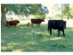 74 Smith Road, Mooloo QLD 4570