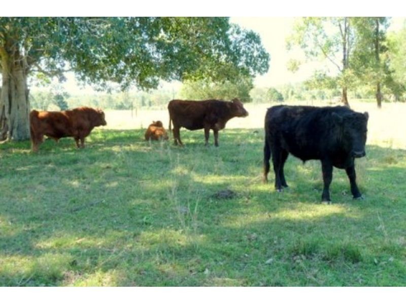 74 Smith Road, Mooloo QLD 4570