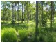 185 Andrew Road, Glenwood QLD 4570