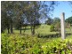 185 Andrew Road, Glenwood QLD 4570