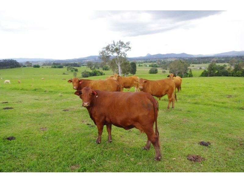 4 Sanders Road, Amamoor QLD 4570